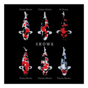 Elegant Koi Fish Poster – Tijdloos & Artistiek Dec