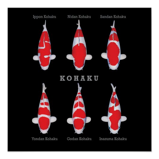 Elegant Koi Fish Poster – Tijdloos & Artistiek Dec (Voorkant)
