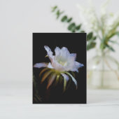 Elegant koningin van de Night Cactus Flower Briefkaart (Staand voorkant)