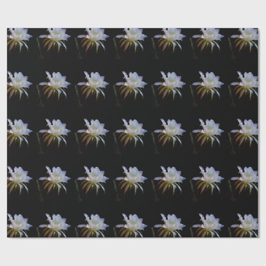 Elegant koningin van de Night Cactus Flower Cadeaupapier (Vlak)