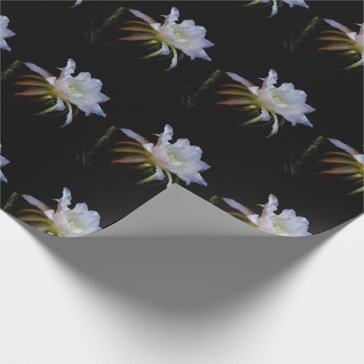 Elegant koningin van de Night Cactus Flower Cadeaupapier (Hoek)
