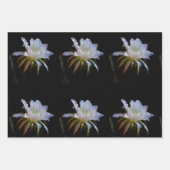 Elegant koningin van de Night Cactus Flower Inpakpapier Vel (Voorkant 2)