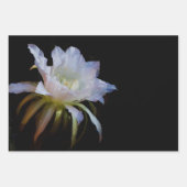 Elegant koningin van de Night Cactus Flower Inpakpapier Vel (Voorkant)