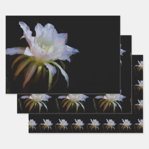 Elegant koningin van de Night Cactus Flower Inpakpapier Vel