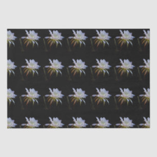 Elegant koningin van de Night Cactus Flower Tissuepapier
