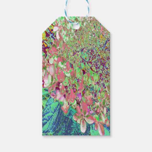 Elegant Koraal en Chartreuse Limelight Hydrangea Cadeaulabel (Voorkant)
