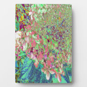 Elegant Koraal en Chartreuse Limelight Hydrangea Fotoplaat (voorkant)