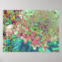 Elegant Koraal en Chartreuse Limelight Hydrangea Poster