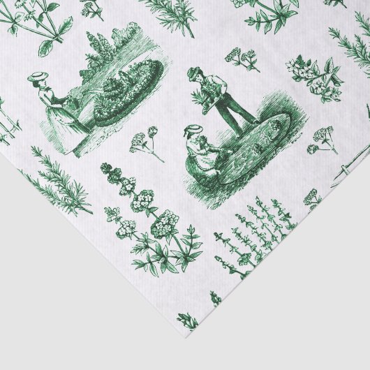 Elegant Kruiden Tuin Sage Groen Toile Tissuepapier (Detail)