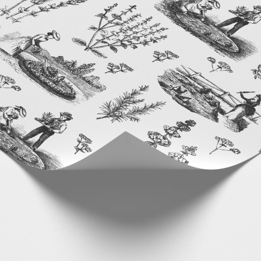 Elegant  kruidentuin zwart wit toilet cadeaupapier (Hoek)