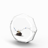 Elegant kustvaardeken van de natuur fotoblokken (Rechts)