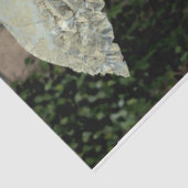 Elegant lady Green jurk Parasol Old Deuren Floral Tissuepapier (Detail)