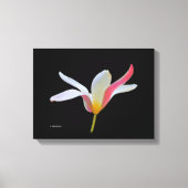 Elegant Lady Tulip White Pink Flowers Canvas Afdruk (Voorkant)