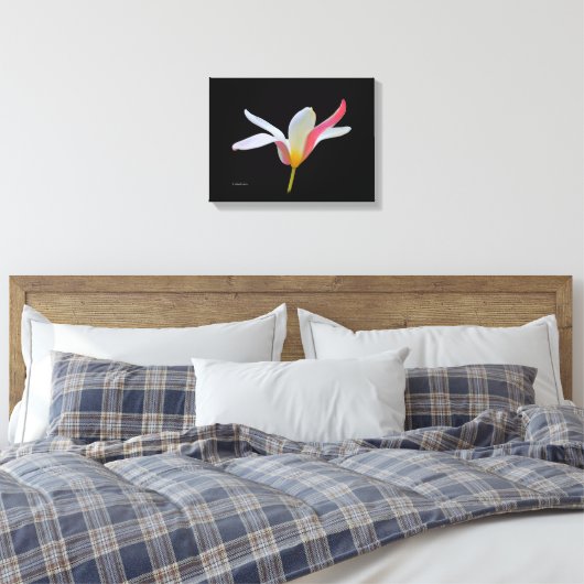 Elegant Lady Tulip White Pink Flowers Canvas Afdruk (Insitu (Slaapkamer))
