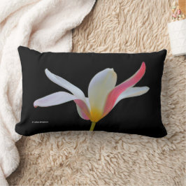 Elegant Lady Tulip White Pink Flowers Kussen