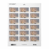 Elegant Lantern Gold Reindeer Holiday Label (Full Sheet)