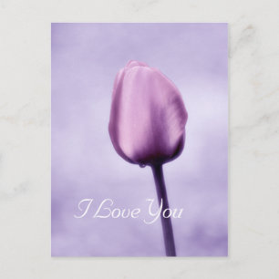 Elegant Lavender Paars Tulip I love you Briefkaart