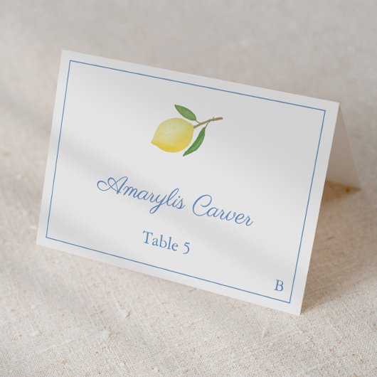 Elegant Lemons Blue Seersucker Stripes Place Card Kaart