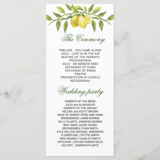 Elegant Lemons Greenery Wedding Ceremony Programmakaart (Achterkant)