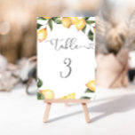 Elegant lemons vrijgezellenfeest kaart<br><div class="desc">Elegant citroenen vrijgezellenfeest Tabel Aantal overeenkomende objecten beschikbaar.</div>