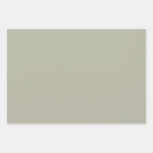 Elegant licht grijs-groen Minimalistisch en chic Inpakpapier Vel (Voorkant)