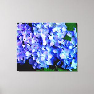 Elegant licht paarse magenta bloemenhortensia canvas afdruk