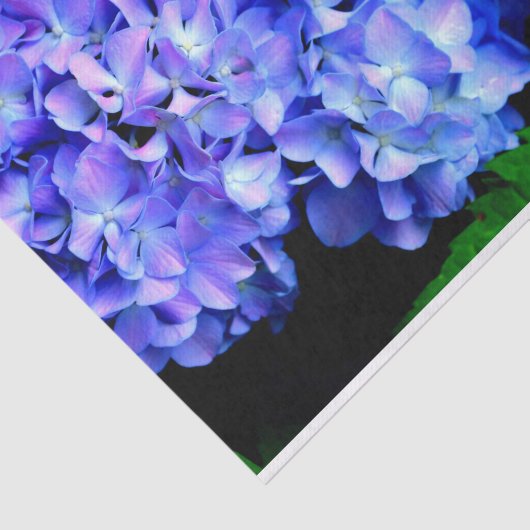 Elegant licht paarse magenta bloemenhortensia tissuepapier (Detail)