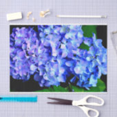 Elegant licht paarse magenta bloemenhortensia tissuepapier (Craft)