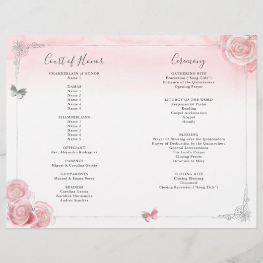 Elegant Lichtroze en Zilveren Quinceanera Programm (Achterkant)