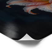 Elegant Lily Flower Art – Premium Prints & Unique  Perfect Poster (Hoek)
