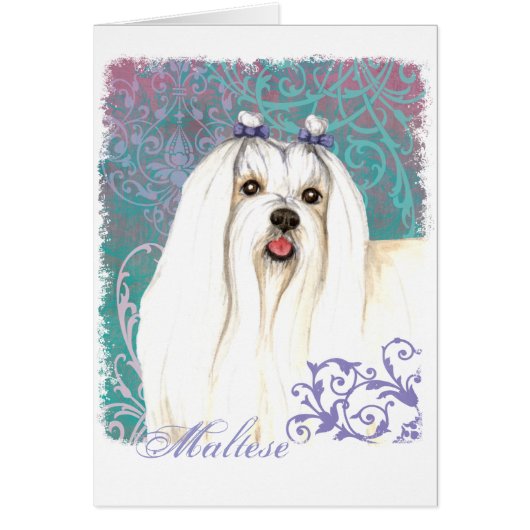 Elegant Maltese Kaart (Voorkant)