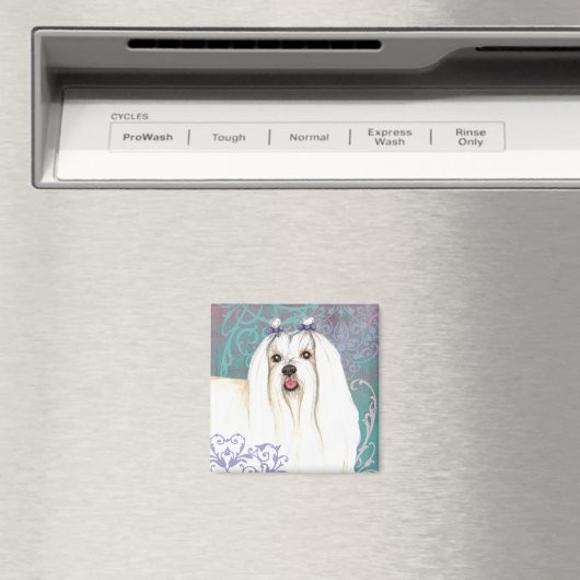 Elegant Maltese Magneet (Insitu (Vaatwasser))