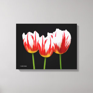 Elegant Maple Leaf Tulips Canvas Afdruk