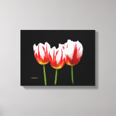 Elegant Maple Leaf Tulips Canvas Afdruk (Voorkant)