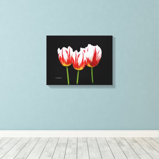 Elegant Maple Leaf Tulips Canvas Afdruk (Insitu (Houten vloer))
