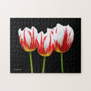 Elegant Maple Leaf Tulips Legpuzzel