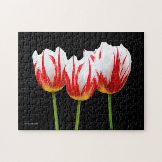 Elegant Maple Leaf Tulips Legpuzzel (Horizontaal)