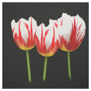 Elegant Maple Leaf Tulips Stof