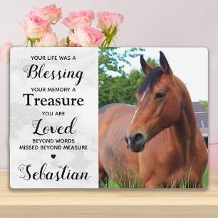 Elegant Marble Horse Memorial Foto & Poem Fotoplaat