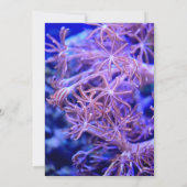 Elegant marinekoraalriffen Nautical Coastal Weddin Save The Date (Achterkant)