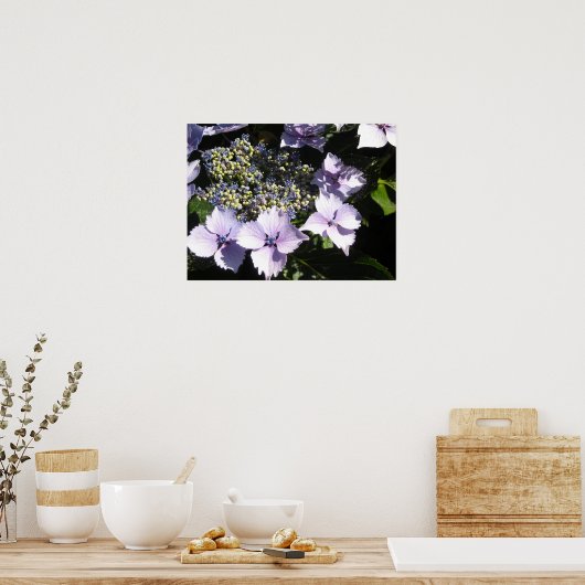 Elegant Mauve Hydrangeas Poster (Keuken)