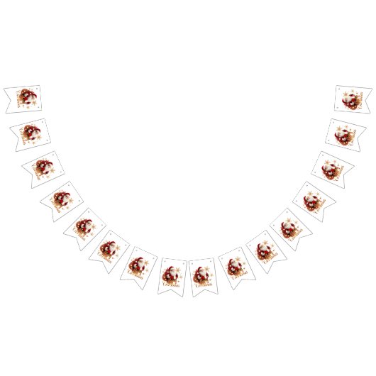 Elegant Merry Christmas Santa Claus Vlaggetjes (Alle)