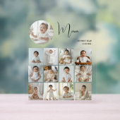 Elegant Mijn eerste jaar Collage Custom Photo Acryl Bord (Neutraal)