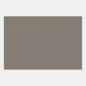 Elegant Modern Alabaster Taupe Grijs Effen Kleur Inpakpapier Vel (Voorkant 3)