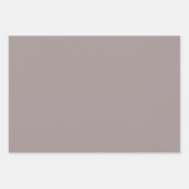 Elegant Modern Alabaster Taupe Grijs Effen Kleur Inpakpapier Vel (Voorkant 2)