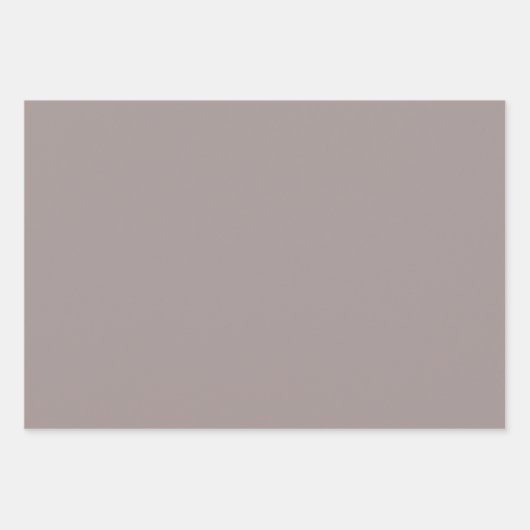 Elegant Modern Alabaster Taupe Grijs Effen Kleur Inpakpapier Vel (Voorkant 2)