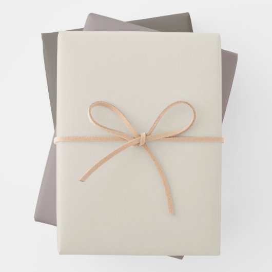 Elegant Modern Alabaster Taupe Grijs Effen Kleur Inpakpapier Vel (In situ)