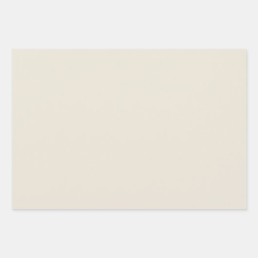 Elegant Modern Alabaster Taupe Grijs Effen Kleur Inpakpapier Vel (Voorkant)