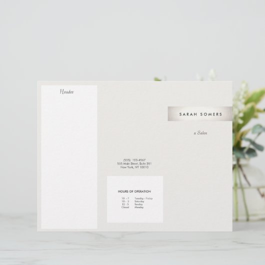 Elegant modern FAUX Silver Striped Salon Brochure (Staand voorkant)