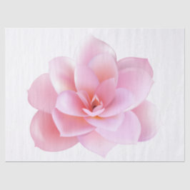 Elegant Modern Floral Tissuepapier